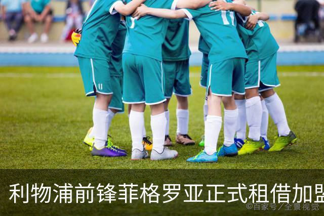 利物浦前锋菲格罗亚正式租借加盟维尔港