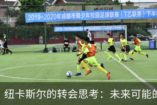 纽卡斯尔的转会思考：未来可能的阵容与战术调整